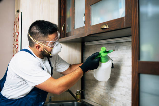 Best Best Pest Control Companies  in Moville, IA