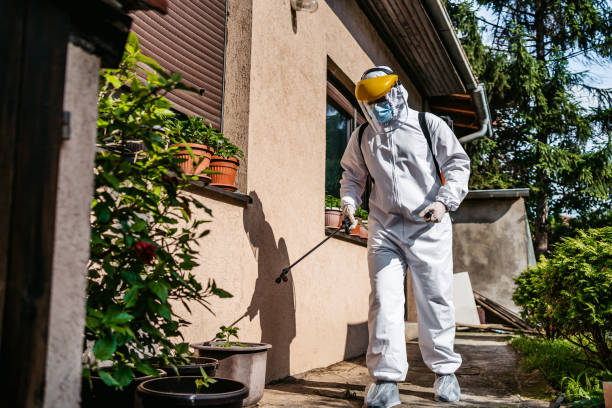 Best Bed Bug Extermination  in Moville, IA