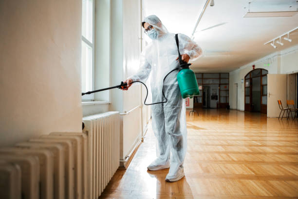 Best Flea Control Services  in Moville, IA